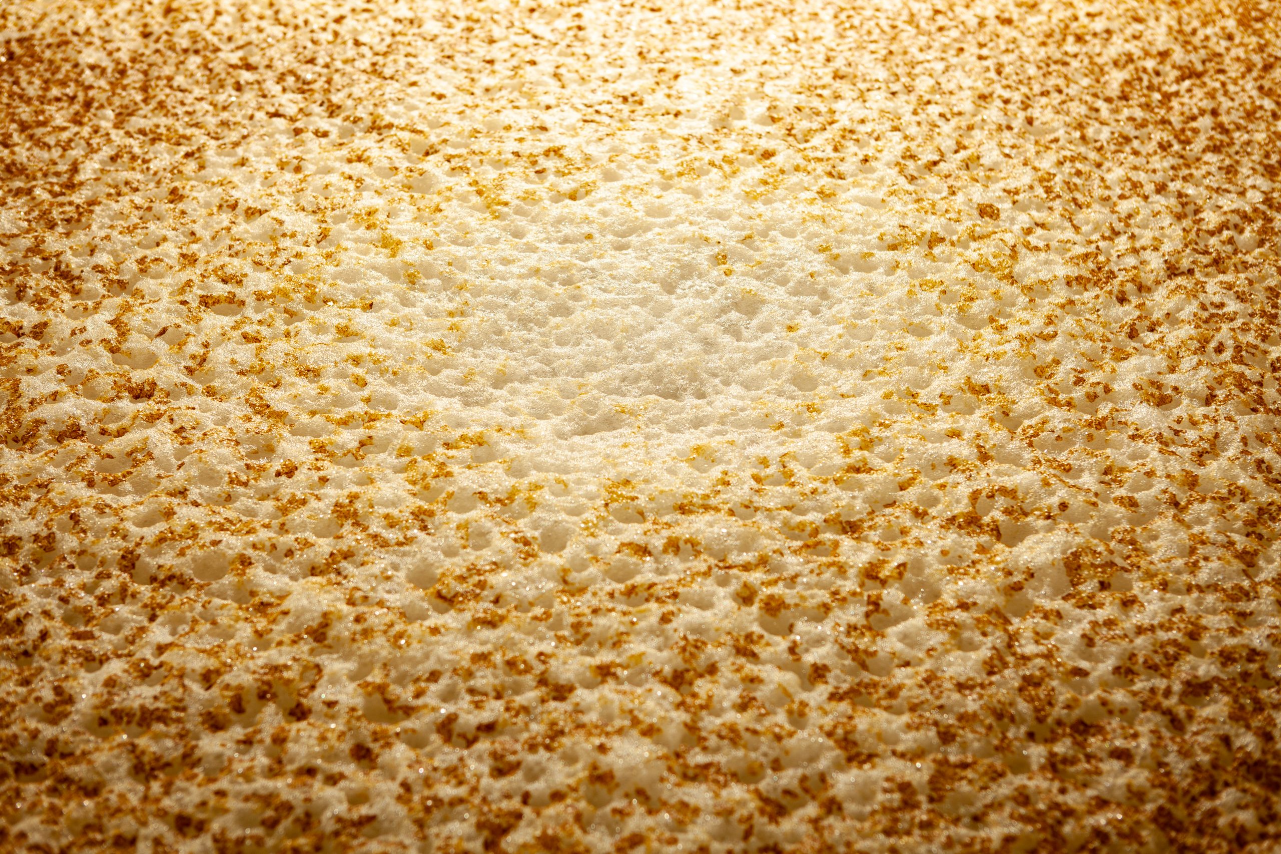 OPEN FERMENTATION TECHNOLOGY